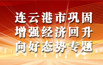 連云港市鞏固增強經濟回升向好態勢專題